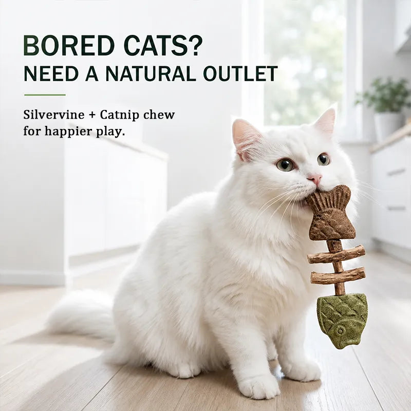 Happyep Official |🔥Day Sale 50% OFF🐾-Miracle Cat Dental Chew (100% Natural) - Cleans Teeth & Calms
