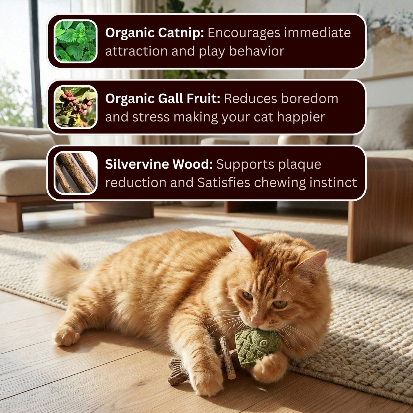 🔥Day Sale 50% OFF🐾-Miracle Cat Dental Chew (100% Natural) - Cleans Teeth & Calms