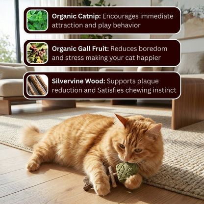 🔥Day Sale 50% OFF🐾-Miracle Cat Dental Chew (100% Natural) - Cleans Teeth & Calms