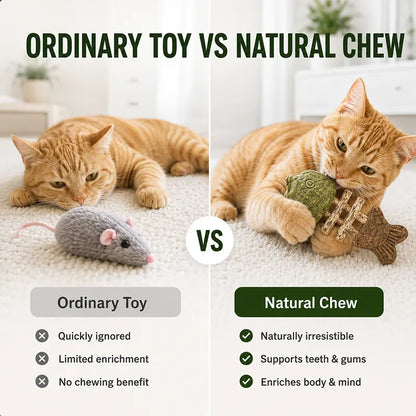 Happyep Official |🔥Day Sale 50% OFF🐾-Miracle Cat Dental Chew (100% Natural) - Cleans Teeth & Calms